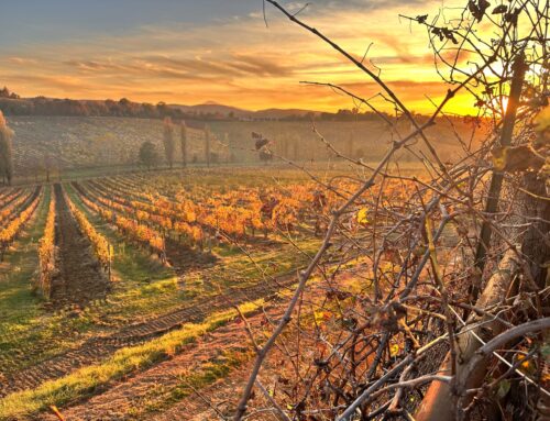 Financial Powers of Attorney