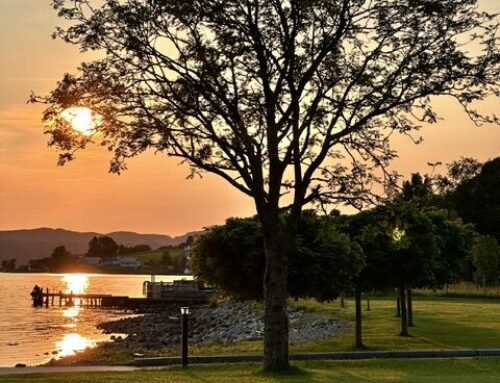 July 2025 Estate Planning Update
