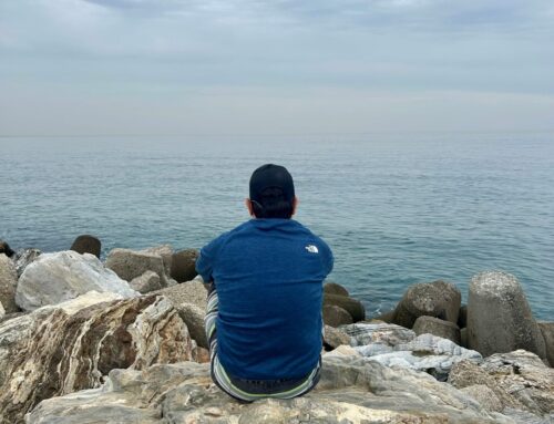 January 2026 Estate Planning Update